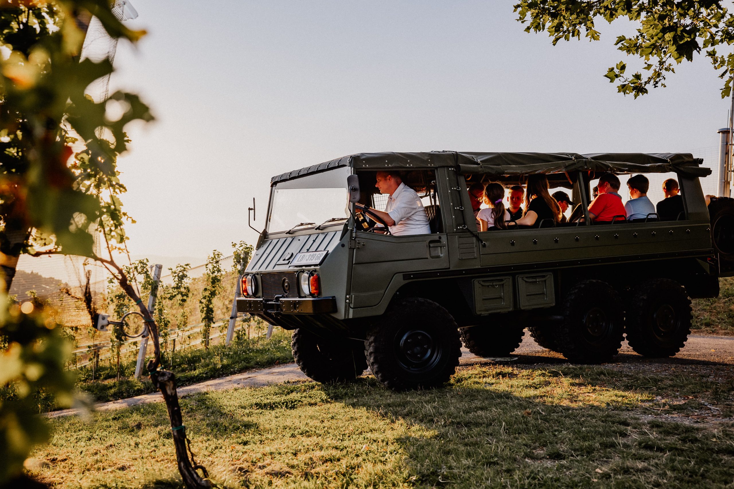 taol wratschko pinzgauer 123
